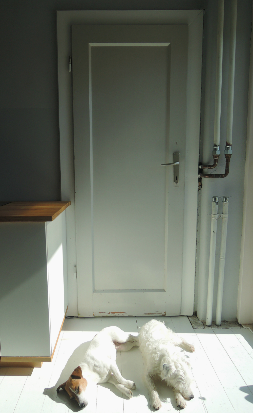 pantry door 1
